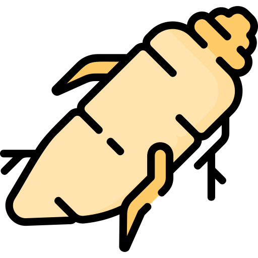 Alt Image