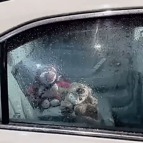 Četka + Sredstvo za Čišćenje i Zaštitu Stakla Automobila