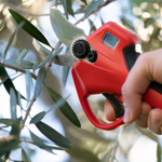 Aku makaze za orezivanje voća – precizno sečenje bez napora